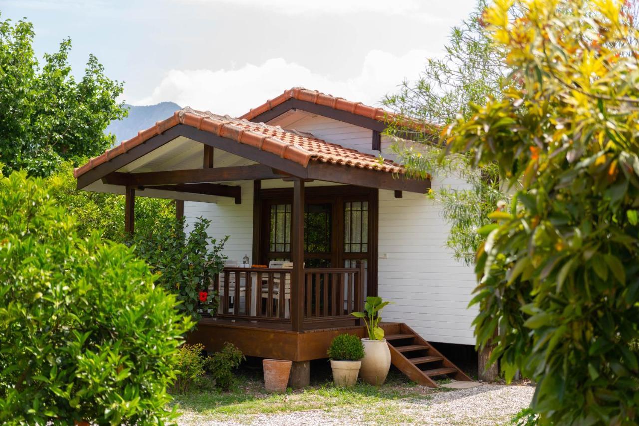 Kimera - Akdeniz Bahcesi Apart Hotel Чирали Екстер'єр фото