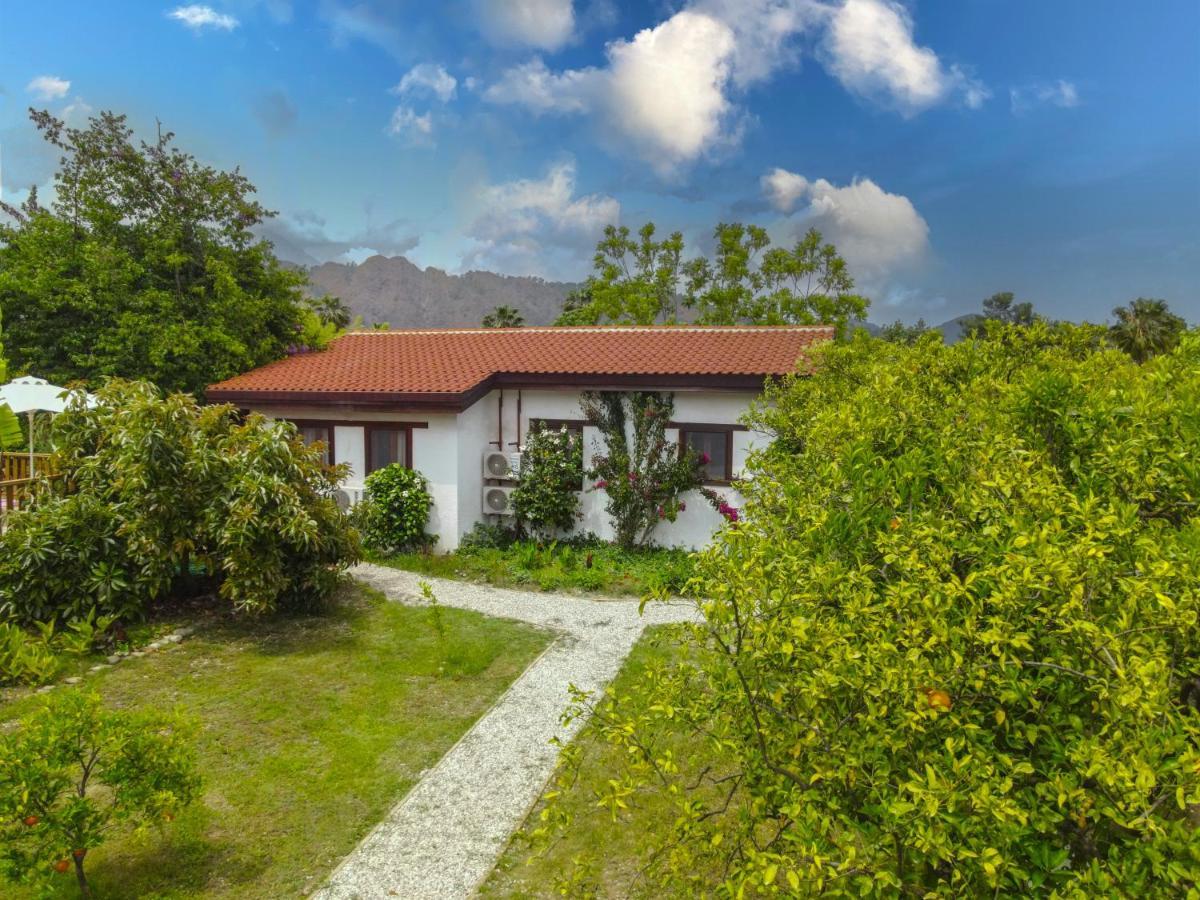 Kimera - Akdeniz Bahcesi Apart Hotel Чирали Екстер'єр фото