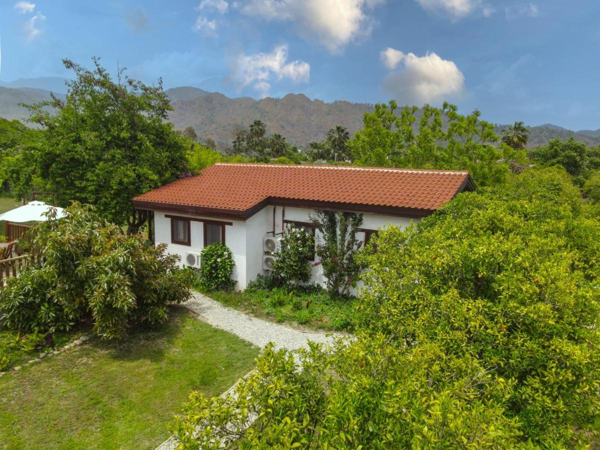 Kimera - Akdeniz Bahcesi Apart Hotel Чирали Екстер'єр фото