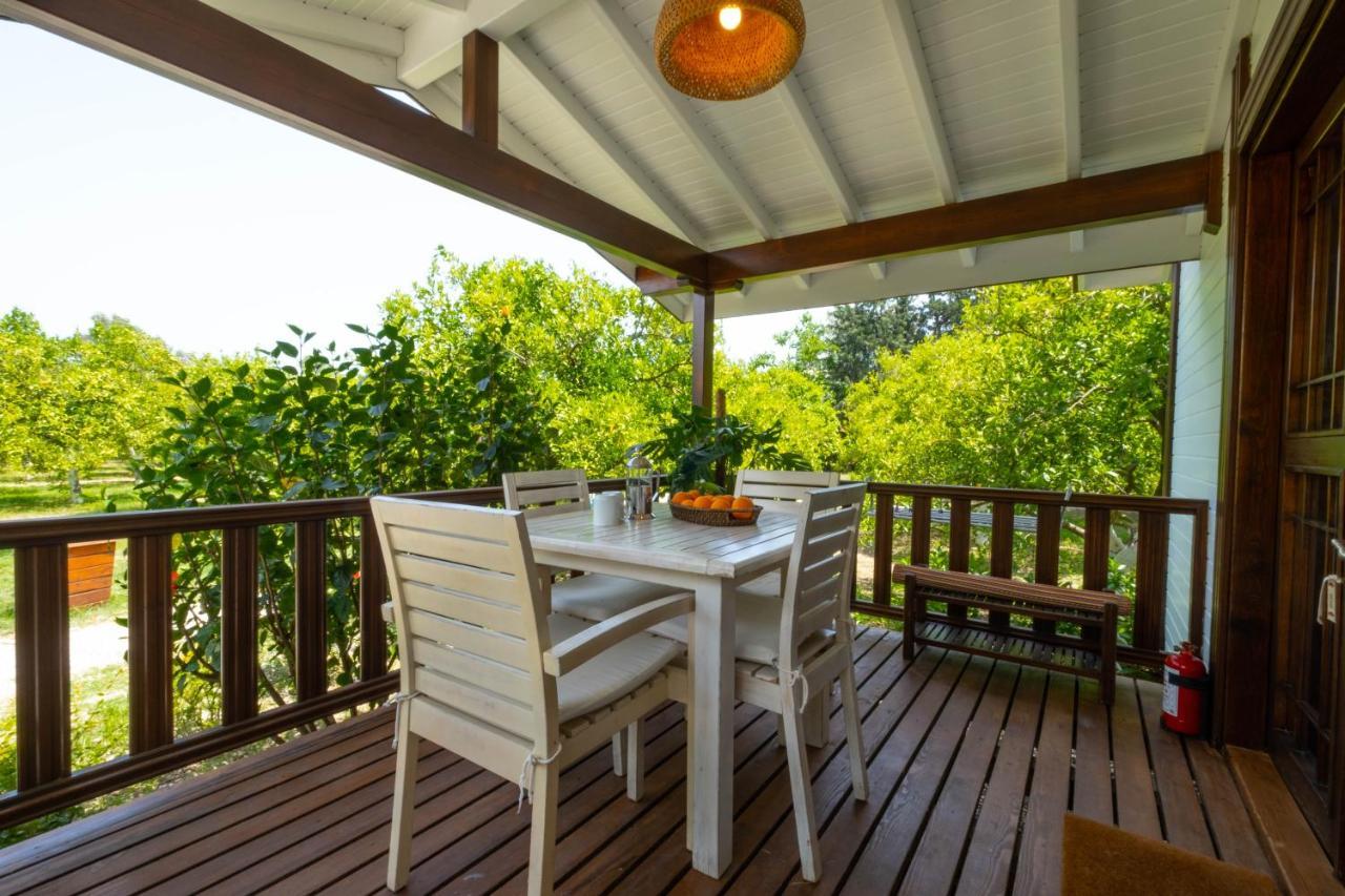 Kimera - Akdeniz Bahcesi Apart Hotel Чирали Екстер'єр фото