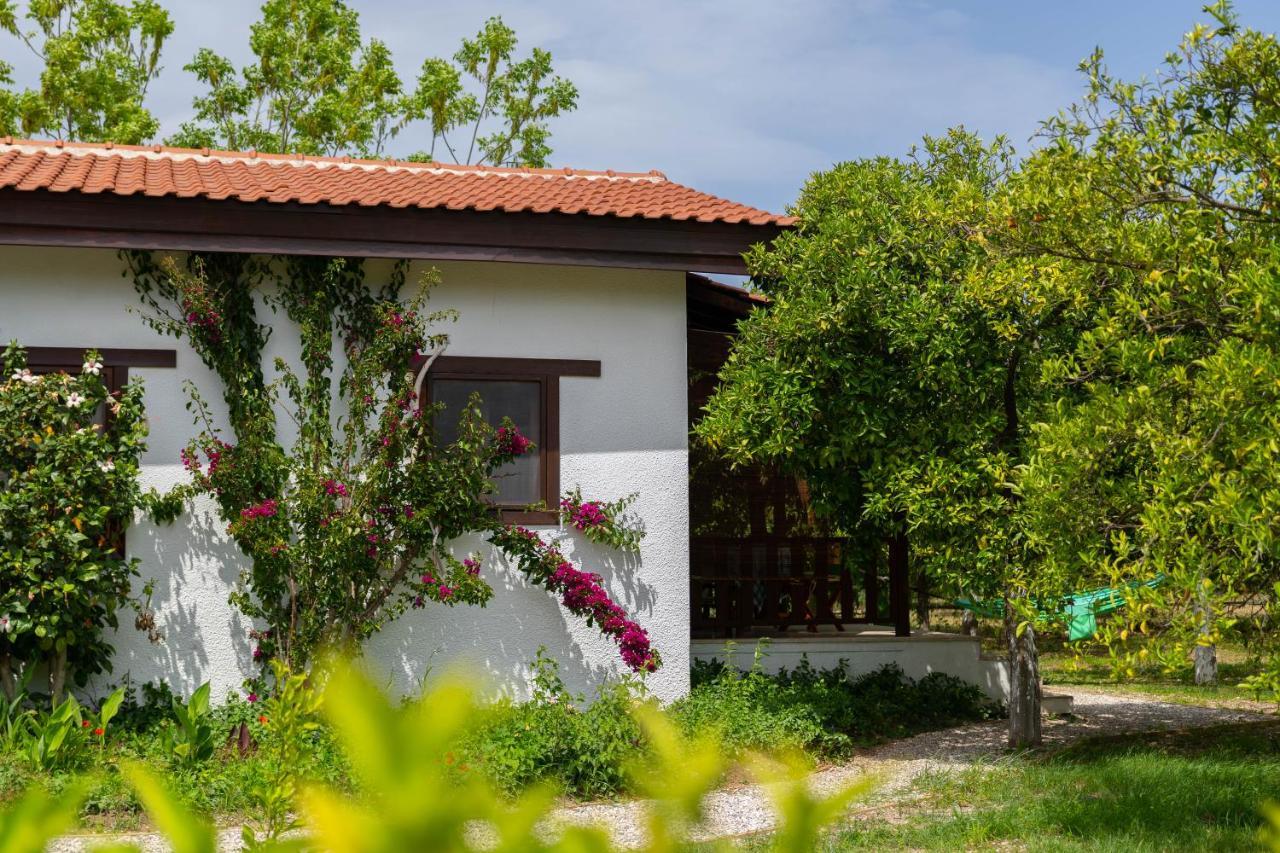 Kimera - Akdeniz Bahcesi Apart Hotel Чирали Екстер'єр фото